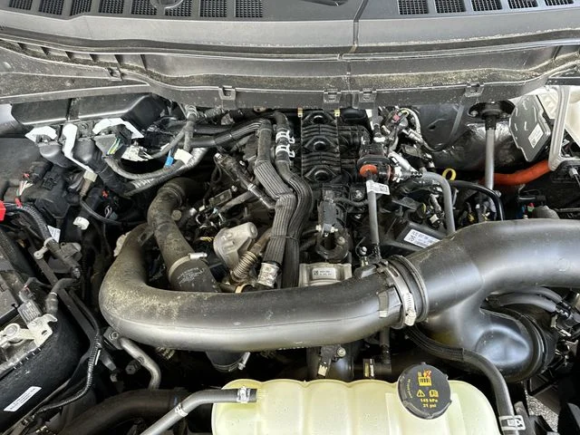 Used 2025 White Ford Platinum image 29