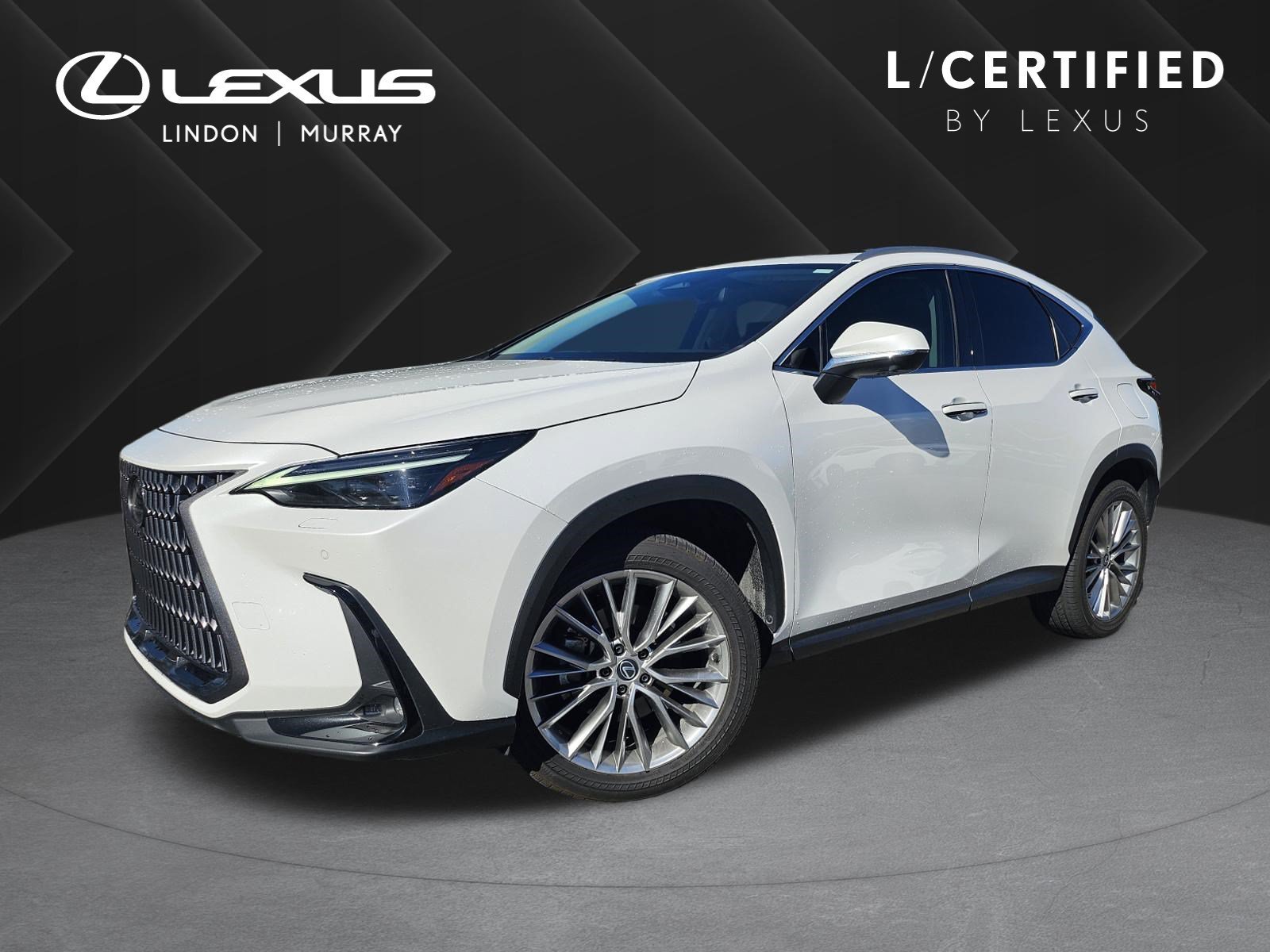 2024 Lexus NX