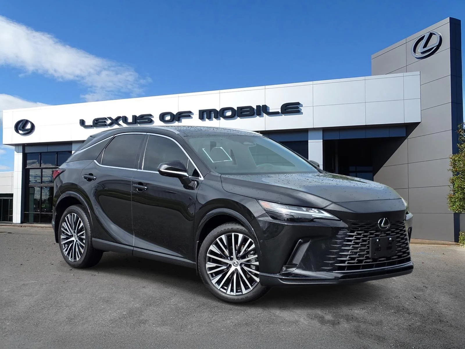 2023 Lexus RX 350 350 Premium Plus FWD's photo