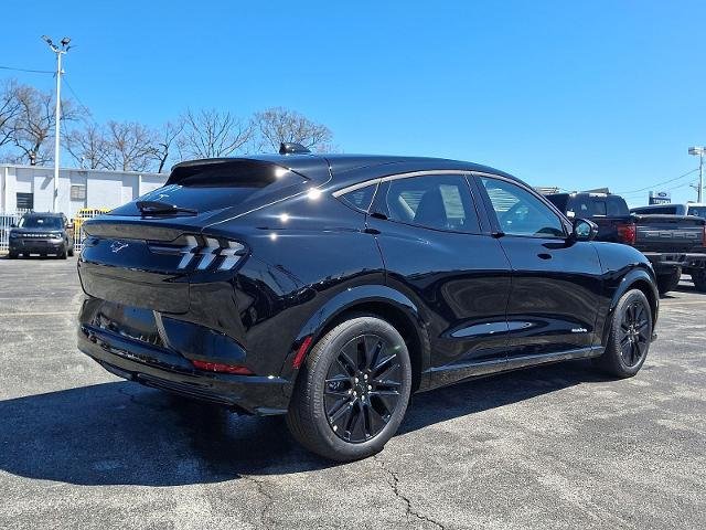 New 2026 Shadow Black Ford Premium image 24