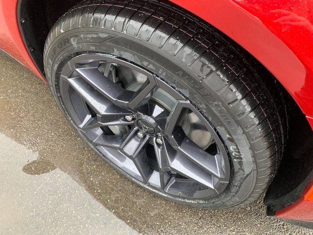 New 2026 Redeye Exterior Paint Dodge Scat Pack image 11