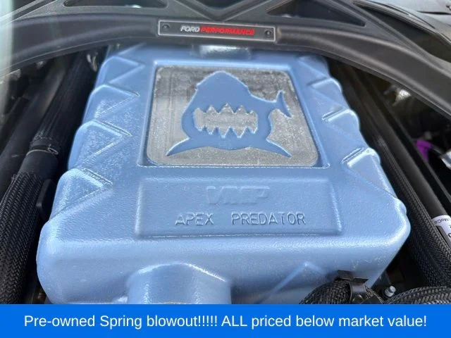 Used 2022 Blue Ford Shelby GT500 image 23