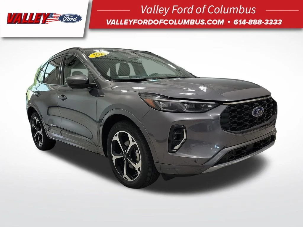 Used 2023 Gray Ford ST-Line Elite image 1