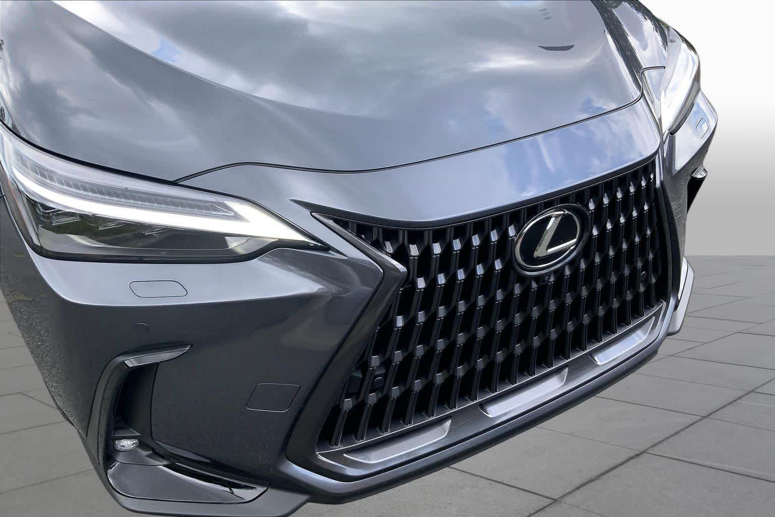 Used 2025 Cloudburst Gray Lexus Luxury image 30