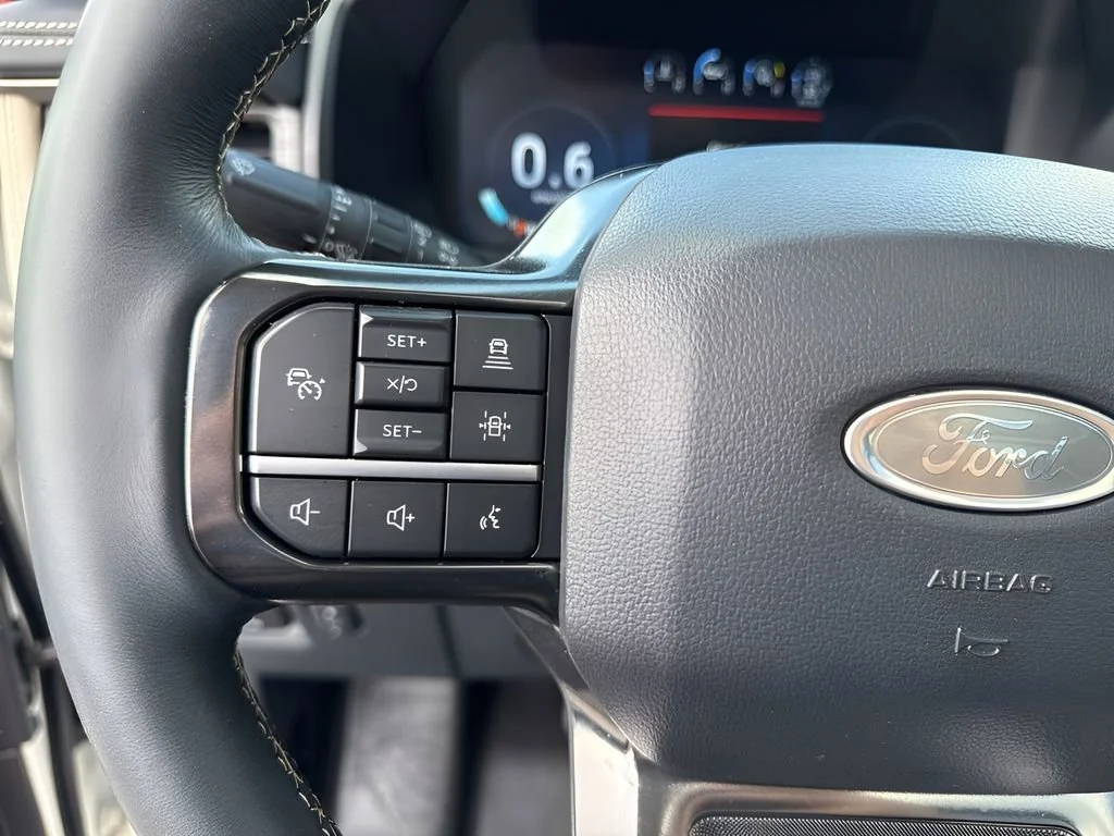 Used 2024  Ford Platinum image 18