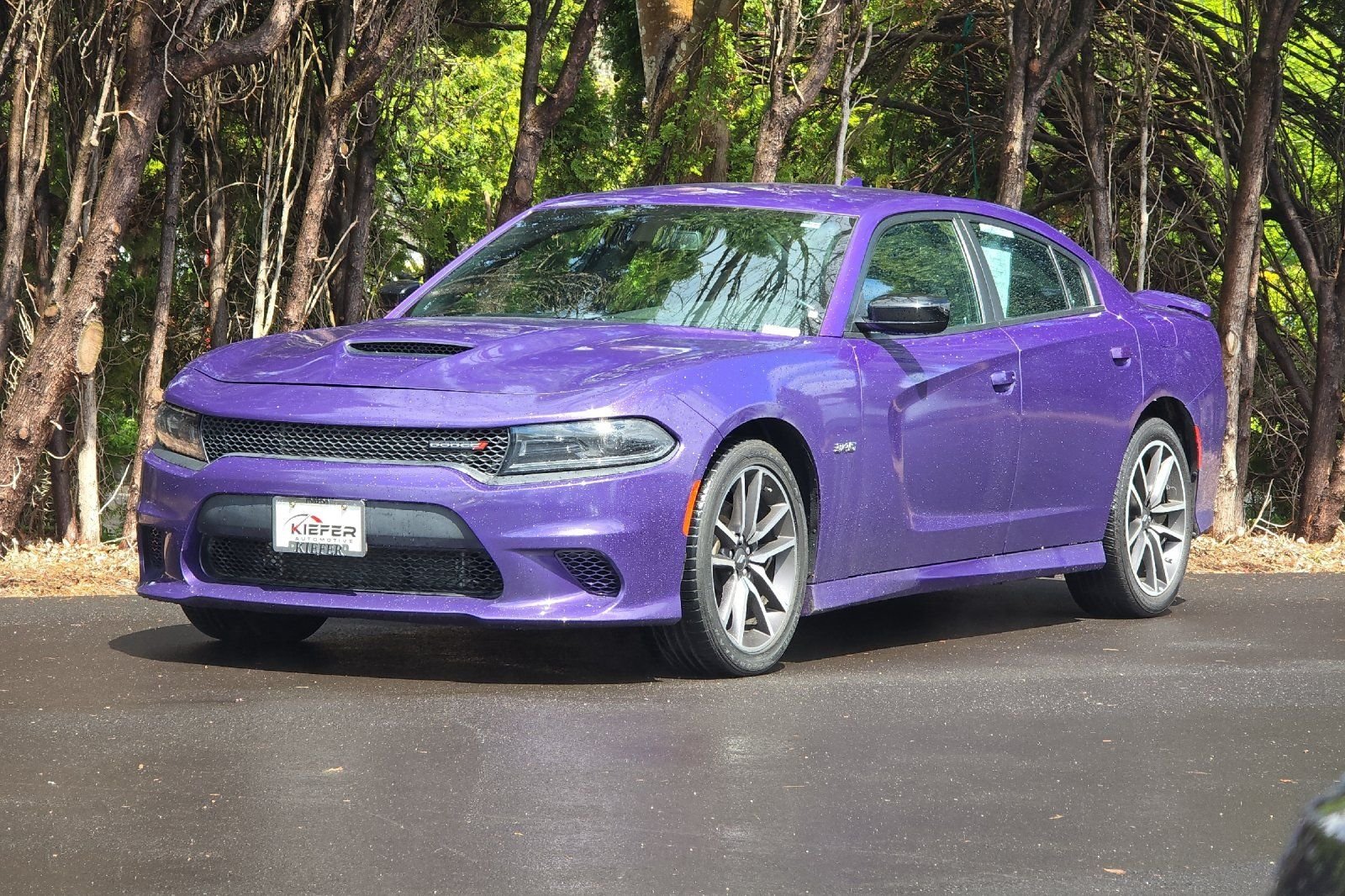 2023 Dodge Charger R/T - Photo 8