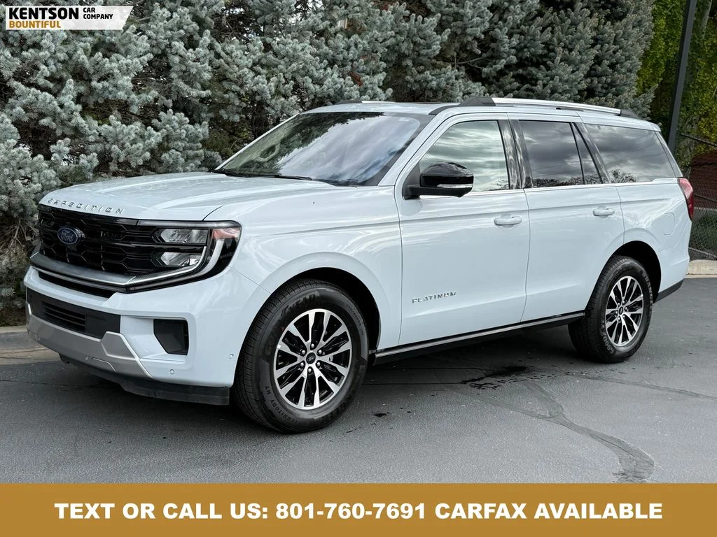 2025 Ford Expedition Platinum 4x4's photo
