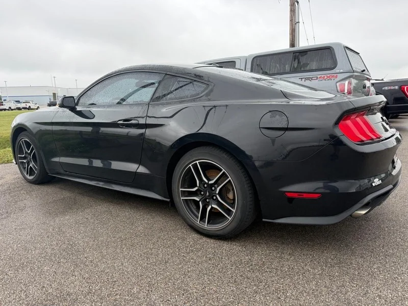 Used 2019 Shadow Black Ford EcoBoost Premium Fastback image 3
