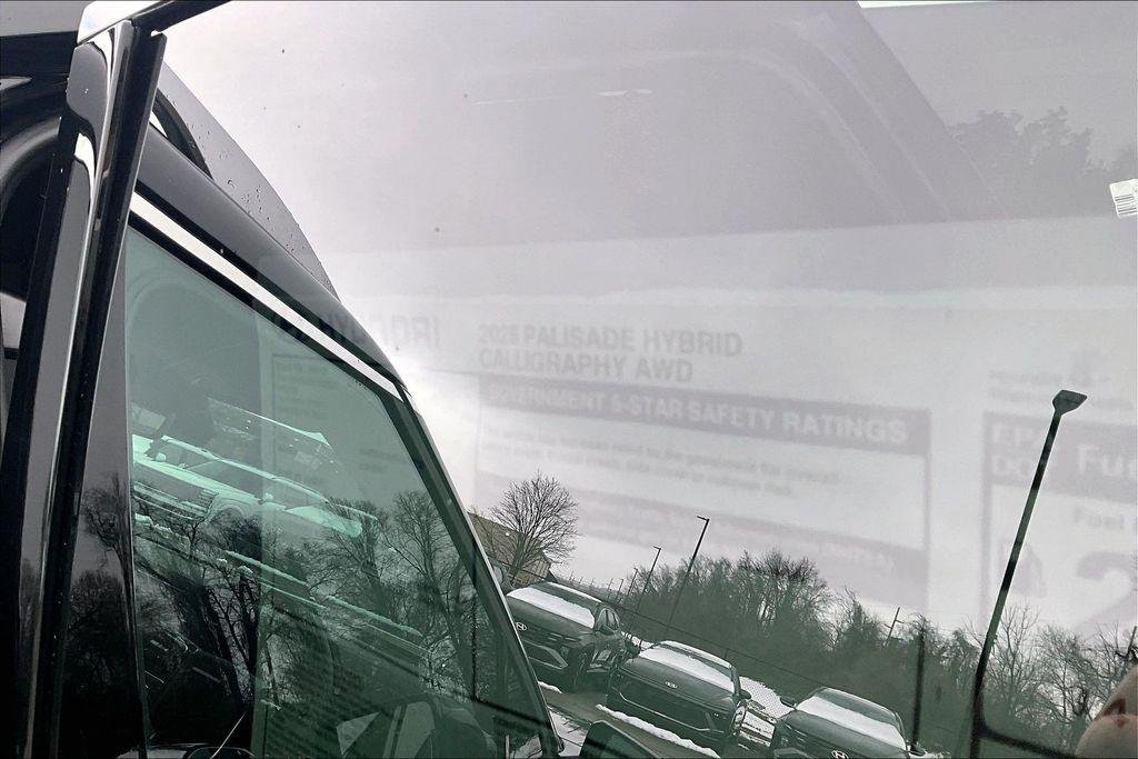 New 2026 Abyss Black Pearl Hyundai Calligraphy image 14