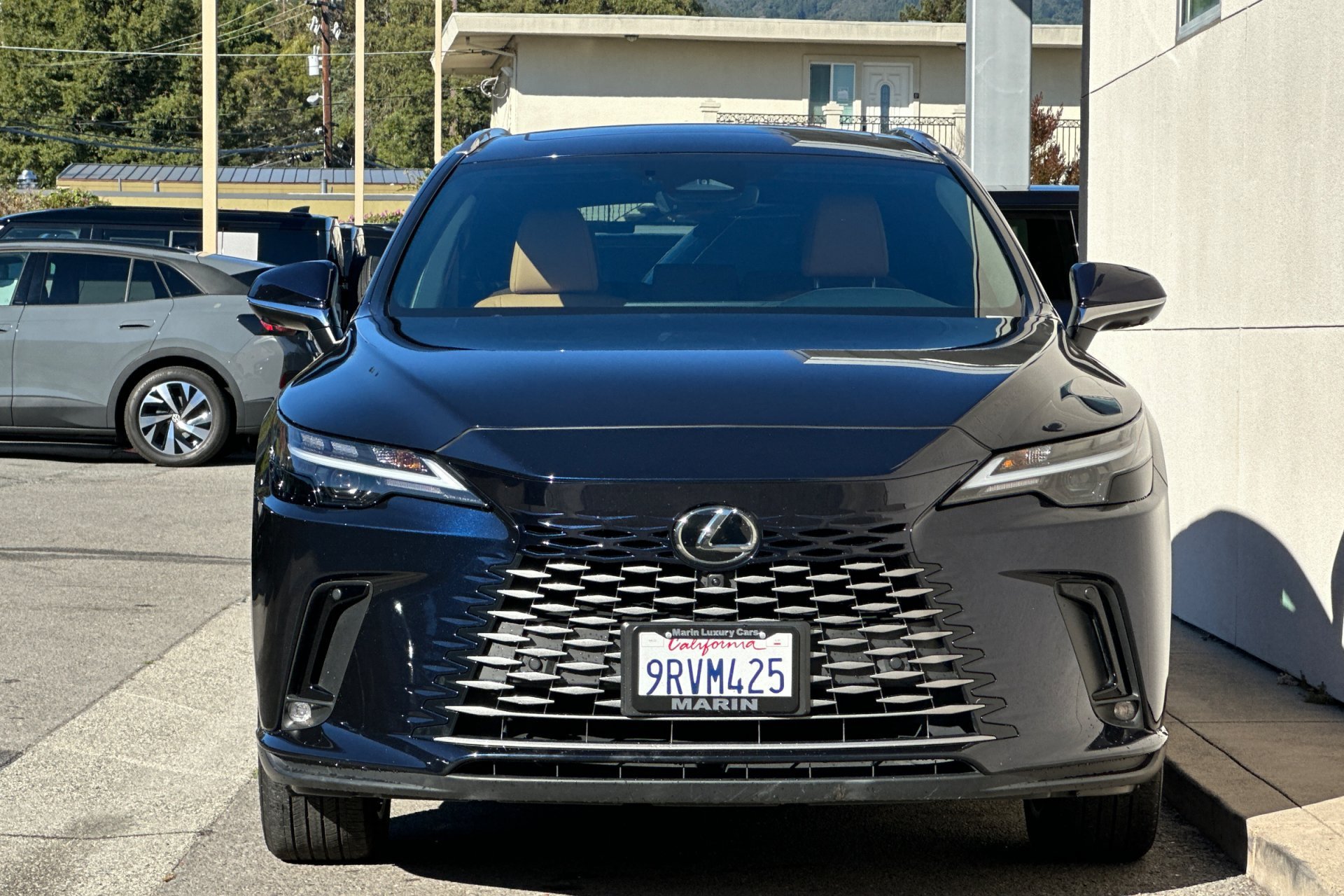 2025 Lexus RX 350 - Photo 10