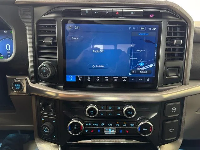 Used 2024 Black Ford Platinum image 15