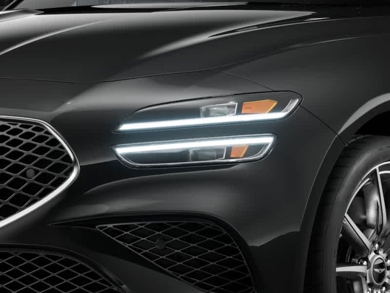 New 2026 Vik Black Genesis 2.5T Prestige image 11