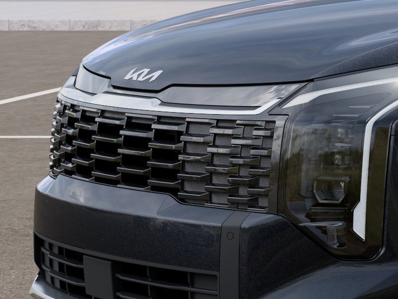 New 2026 Panthera Metal Kia EX image 12