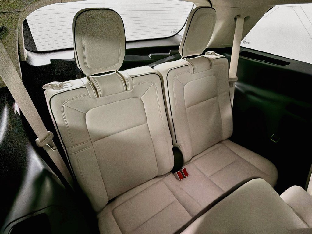 Used 2020 Radiance Metallic Lincoln Black Label image 30