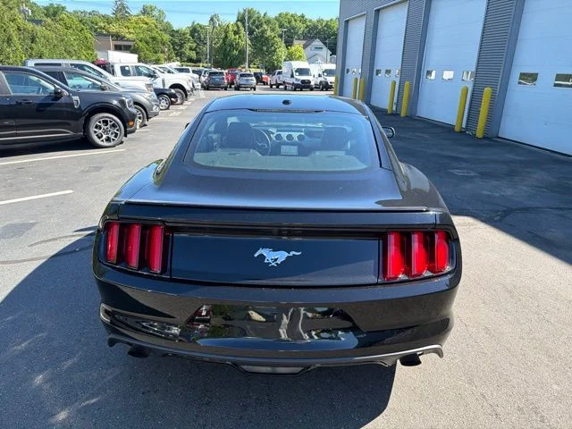 Used 2017 Black Ford EcoBoost Premium image 6