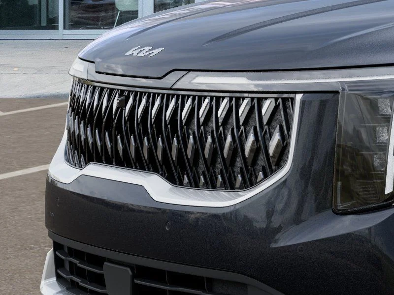 New 2026 Panthera Metal Kia LXS image 12