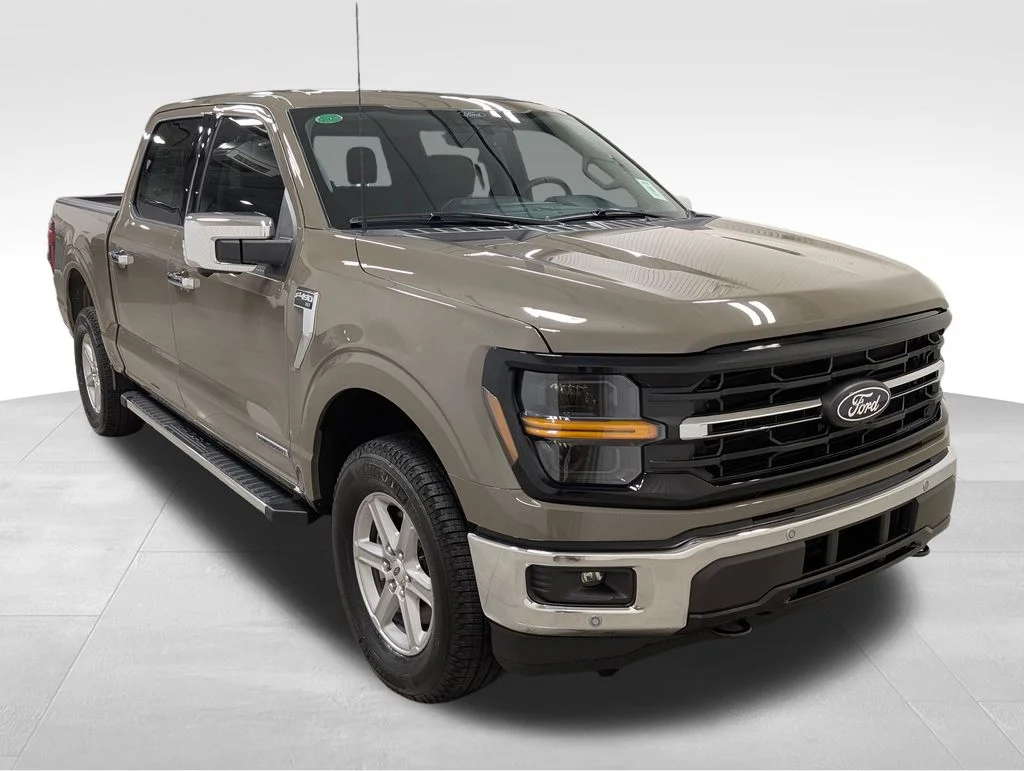 New 2025 Marsh Gray Ford XLT image 5