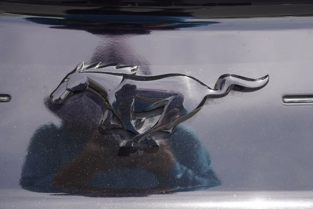 Used 2022 Gray Ford EcoBoost image 12
