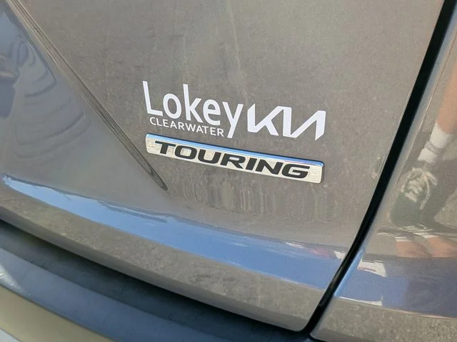 Used 2017 Gray Honda Touring image 8