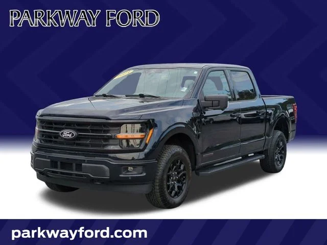 Used 2024 Blue Ford XLT image 1