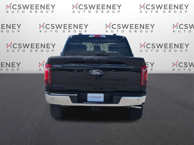 Used 2025 Black Ford XLT image 4