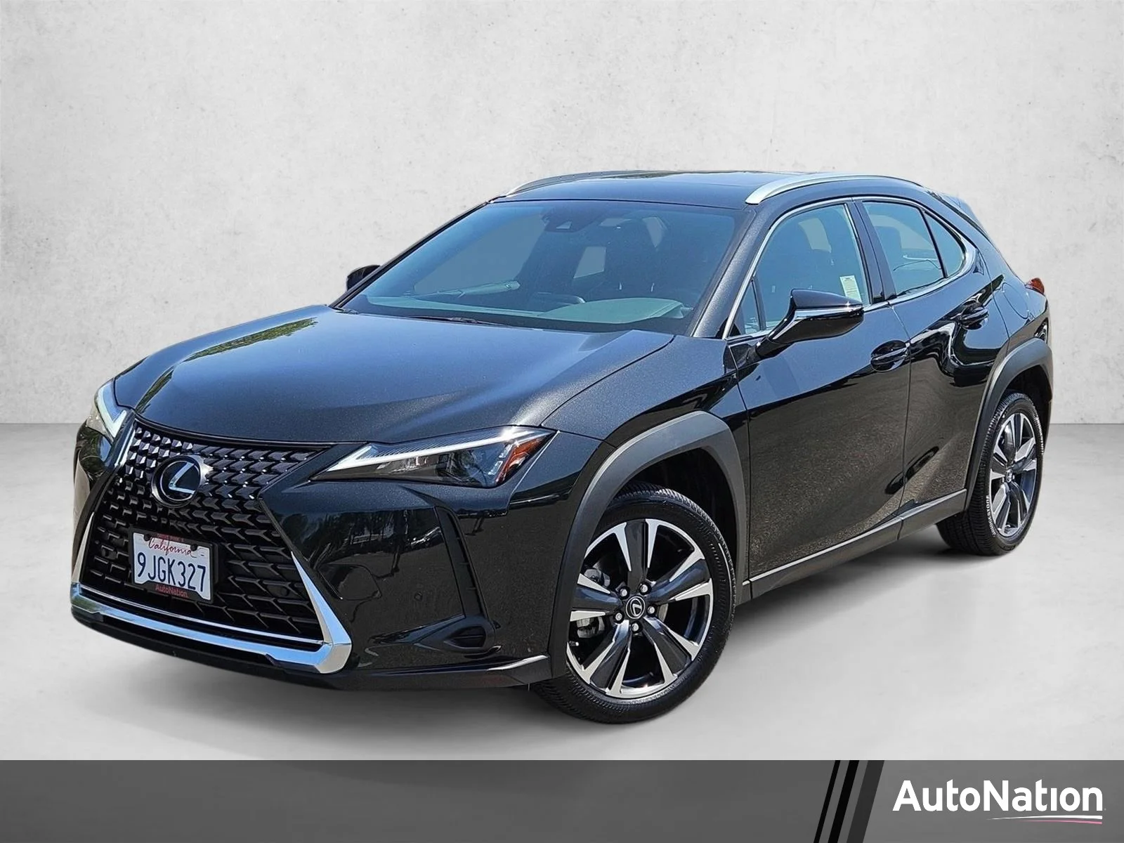 2024 Lexus UX 300h 250h's photo