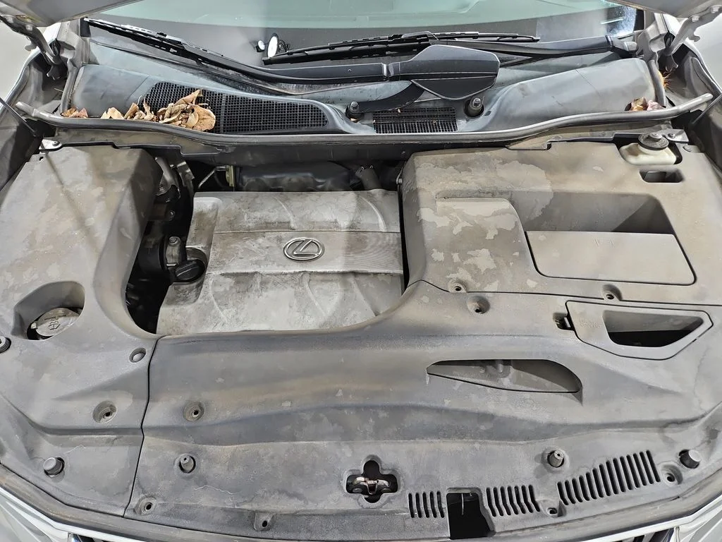 Used 2010  Lexus 350 image 22