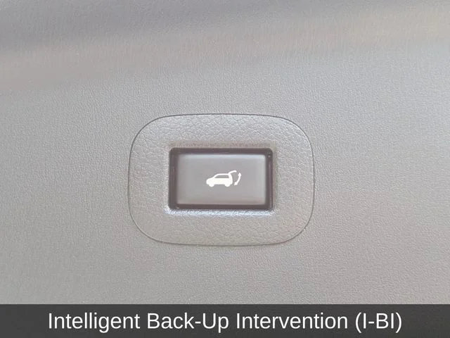 Used 2019 Blue Nissan SL image 15