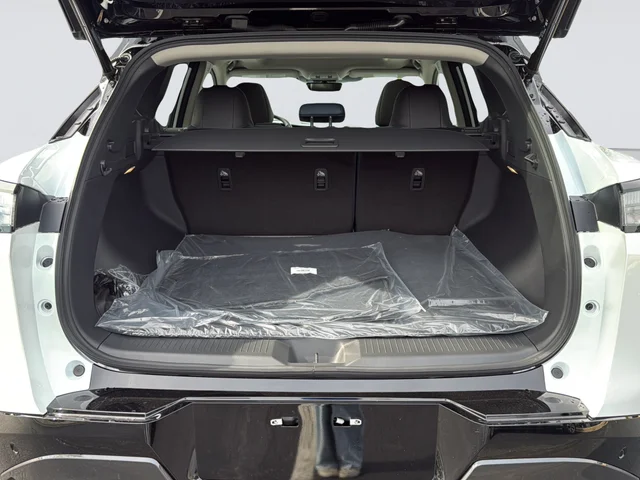 New 2026 Everest White Pearl TriCoat / Super Black Two-tone Nissan Platinum image 11