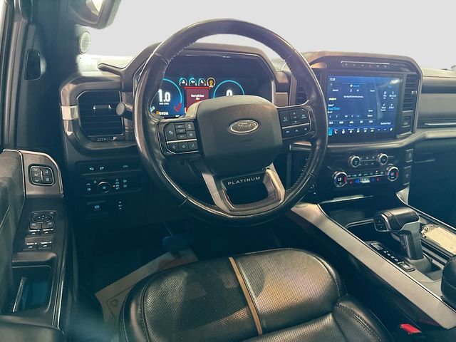 2021 Ford F-150 Platinum - Photo 25