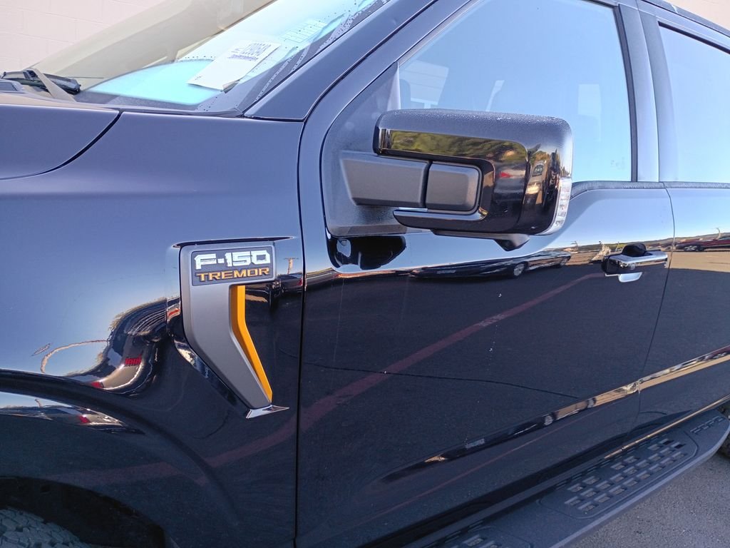 2025 Ford F-150 Tremor - Photo 9