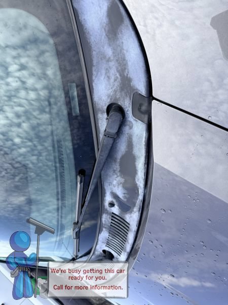 Used 2003 Dark Shadow Grey Metallic Ford SVT Cobra image 4