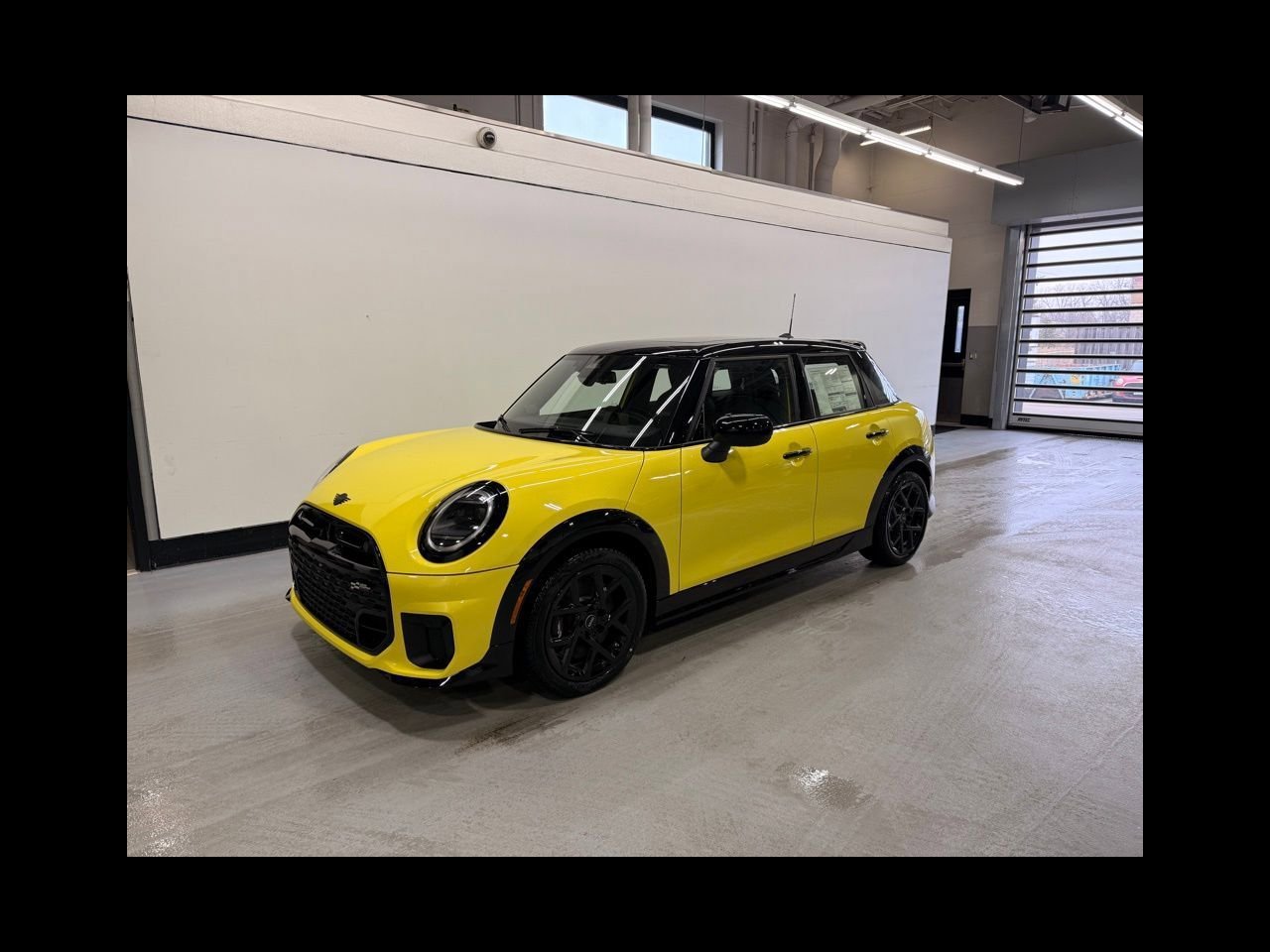 New 2026 Sunny Side Yellow MINI ICONIC image 1