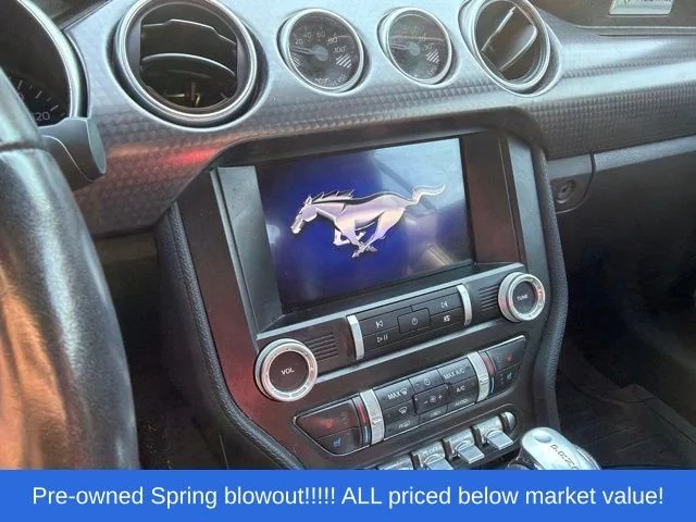 Used 2019 Green Ford EcoBoost Premium image 14