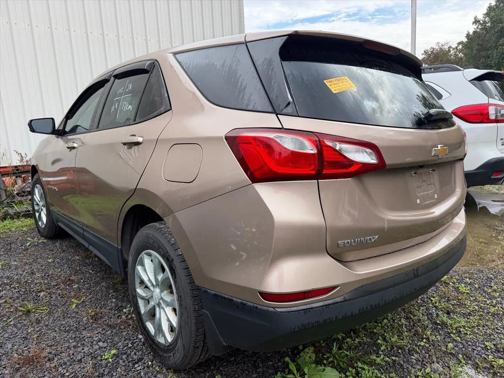Used 2019 Beige Chevrolet LS image 4
