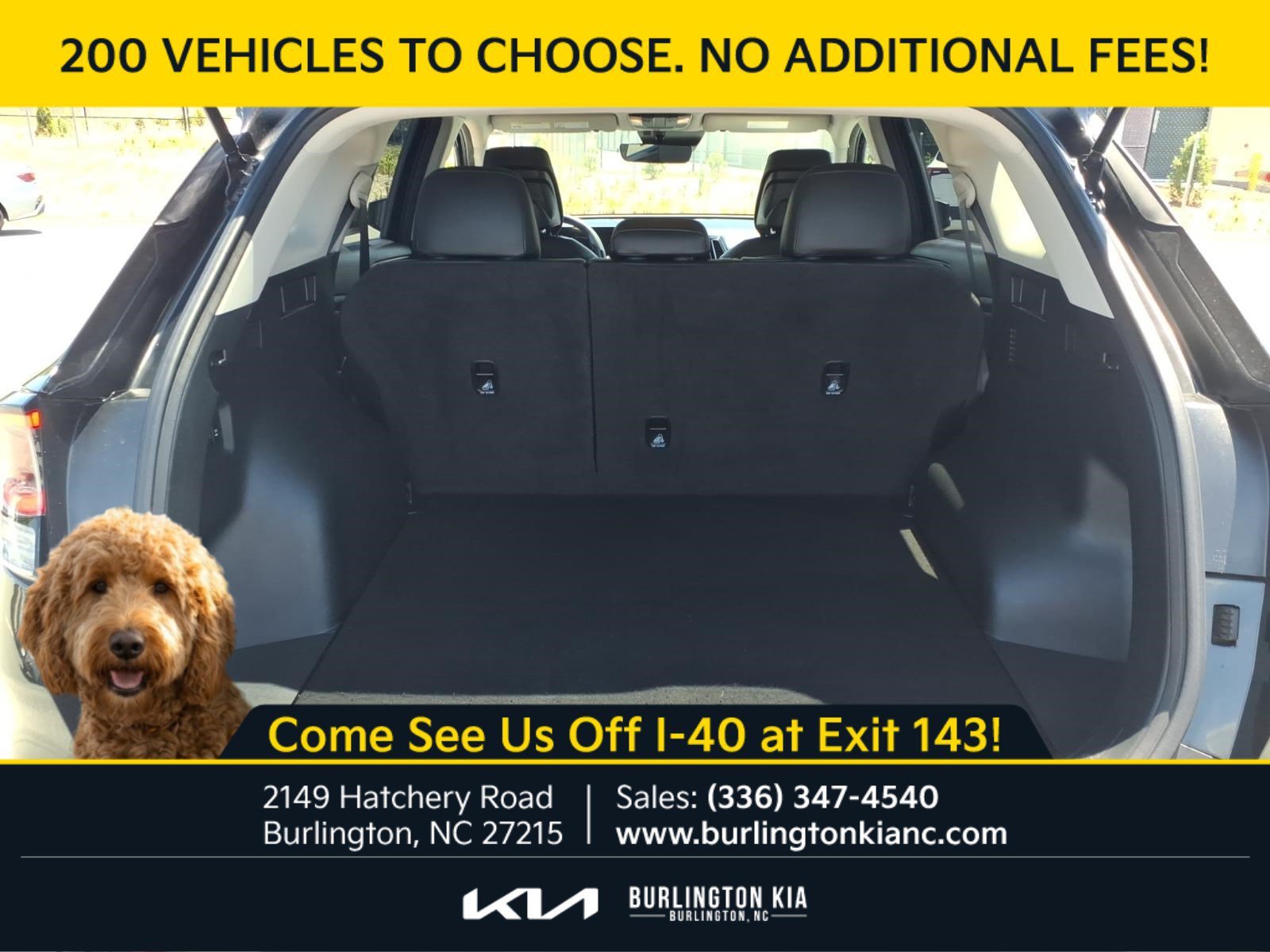 Certified Used 2024 Ebony Black Kia EX image 25