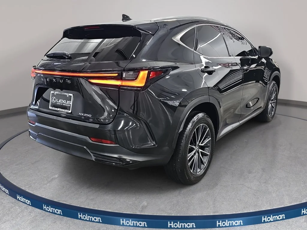 Used 2025 Black Lexus 250 Premium image 6