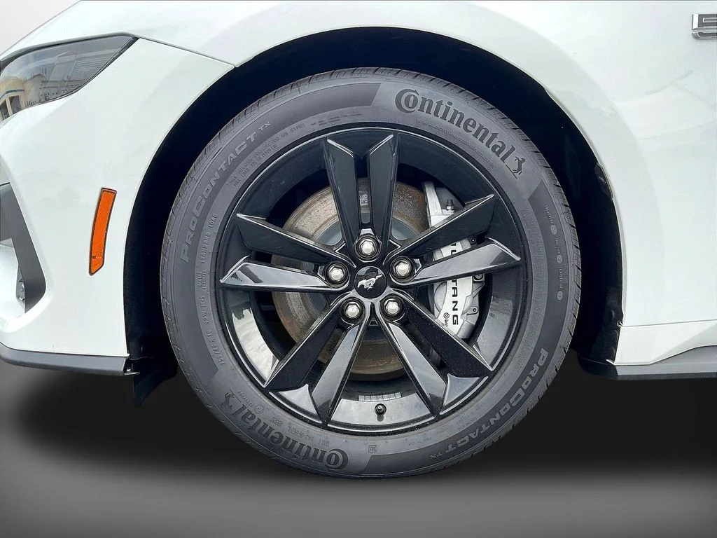 New 2026 Oxford White Ford GT Fastback image 12
