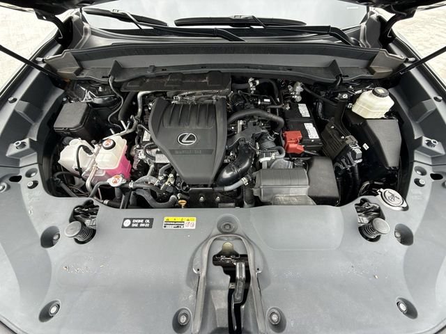 View 27