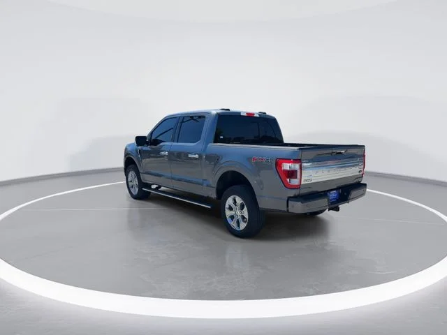 Used 2023 Gray Ford Platinum image 5
