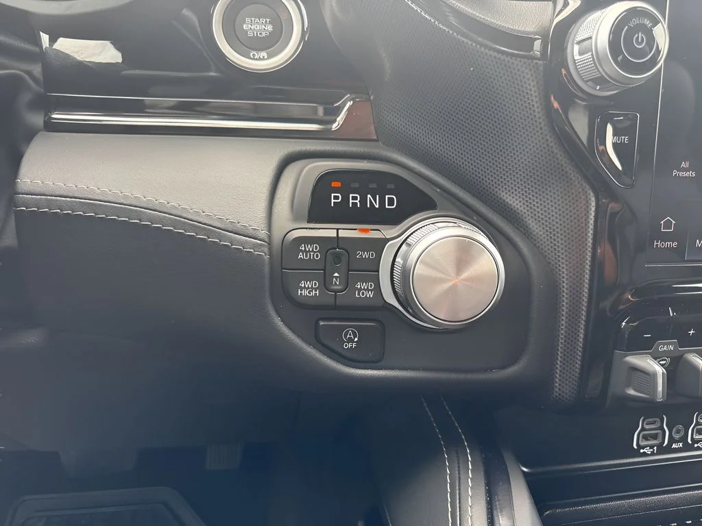 Used 2025 Black Ram Limited image 19