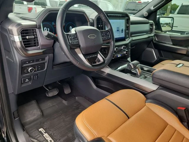 Used 2022 Blue Ford Platinum image 18