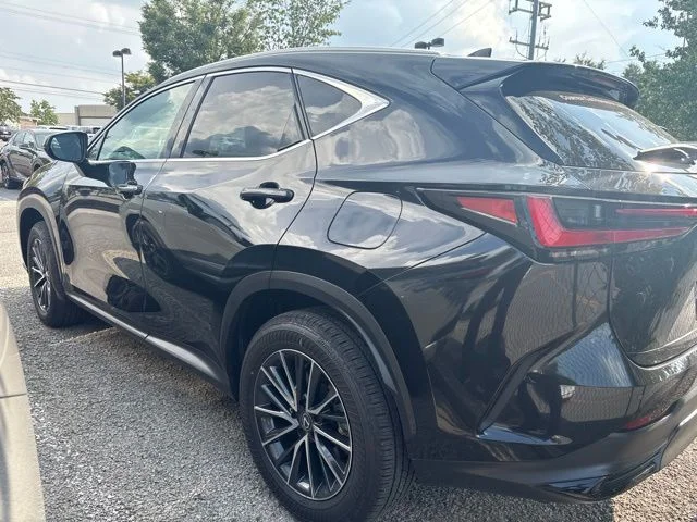 Used 2025 Black Lexus 250 Premium image 3