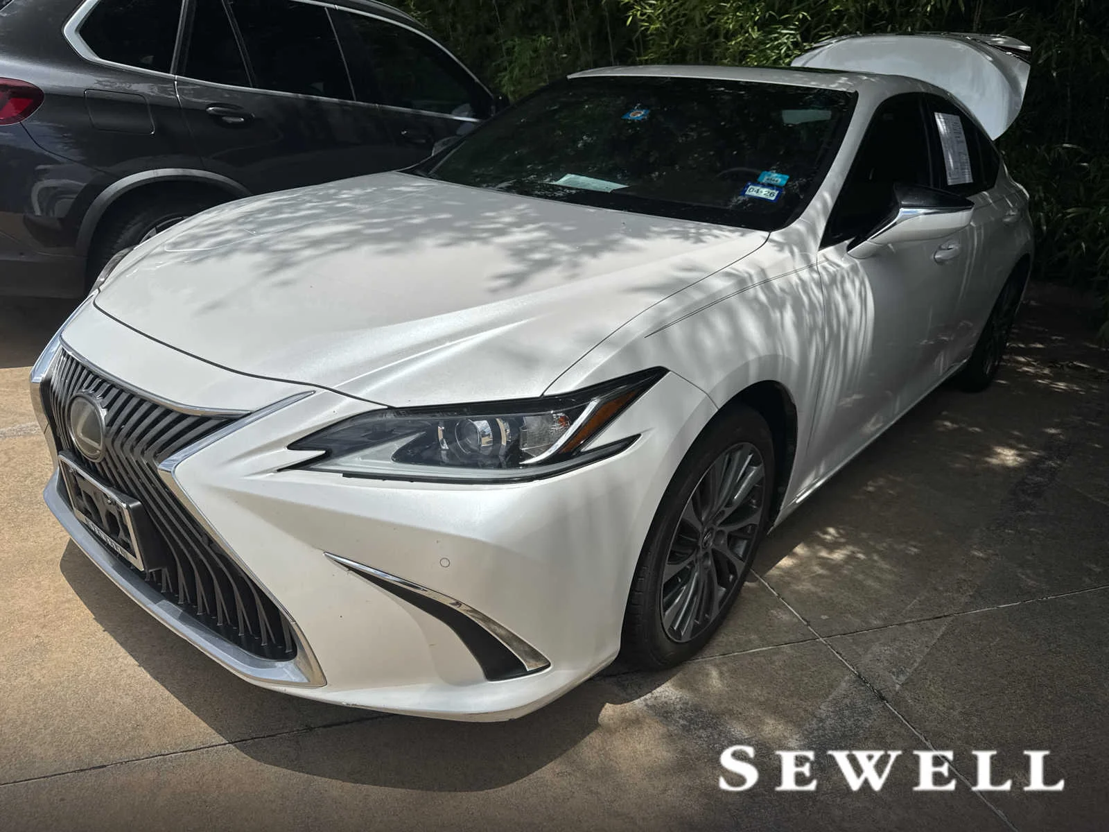 2019 Lexus ES 350 350's photo