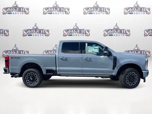 New 2026 Gray Ford Platinum image 2
