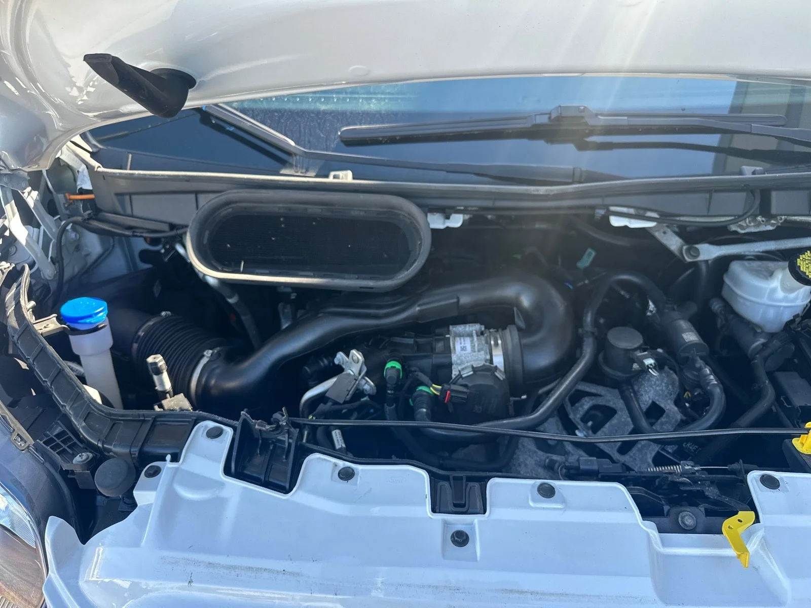 Used 2021 WHITE Ford  image 13