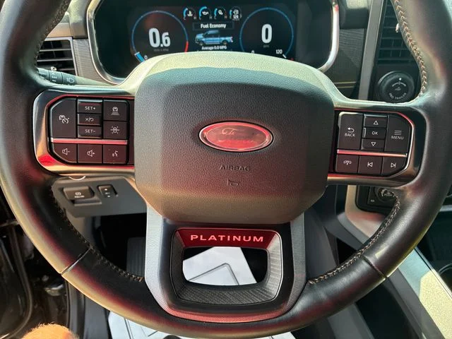 Used 2022 Quartz Metallic Ford Platinum image 20