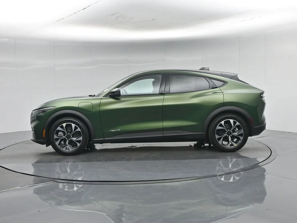 New 2026 Eruption Green Metallic Ford Select image 27