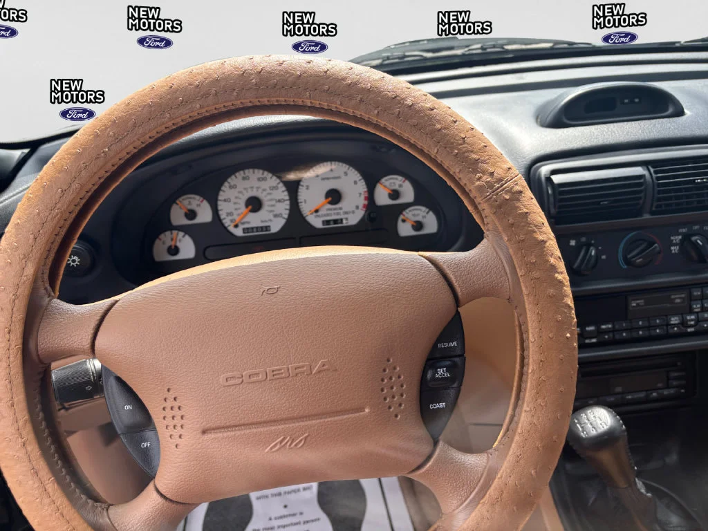 Used 1996 Black Ford Cobra image 10