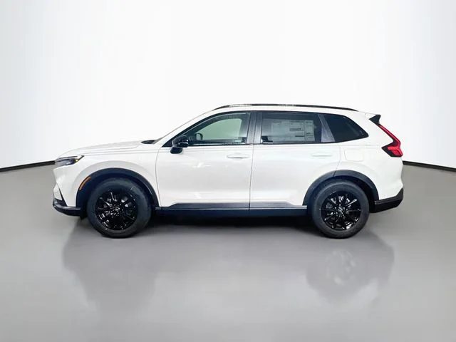 New 2026 Platinum White Pearl Honda Sport image 5